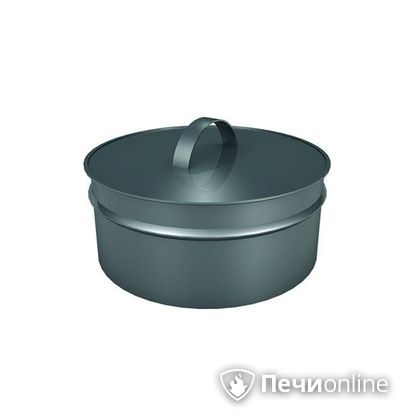 Заглушки Теплов и Сухов Заглушка ревизии Термо-Р 304 0.5 D220(120) в Златоусте