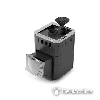 Дровяная печь-каменка TMF Гейзер Микра 2017 Inox ДН ЗК антрацит в Златоусте