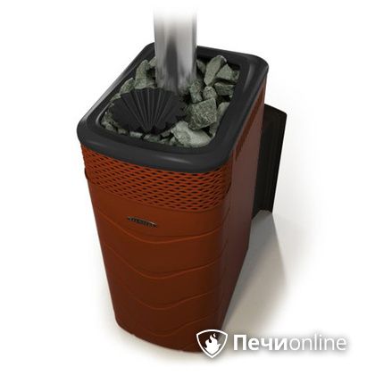 Дровяная банная печь TMF Гейзер XXL 2017 Inox Витра закрытая каменка терракота в Златоусте